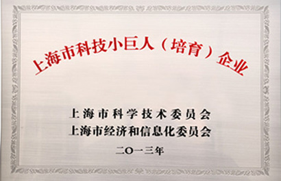 honor2 上海市科技幼巨人(造就)企业